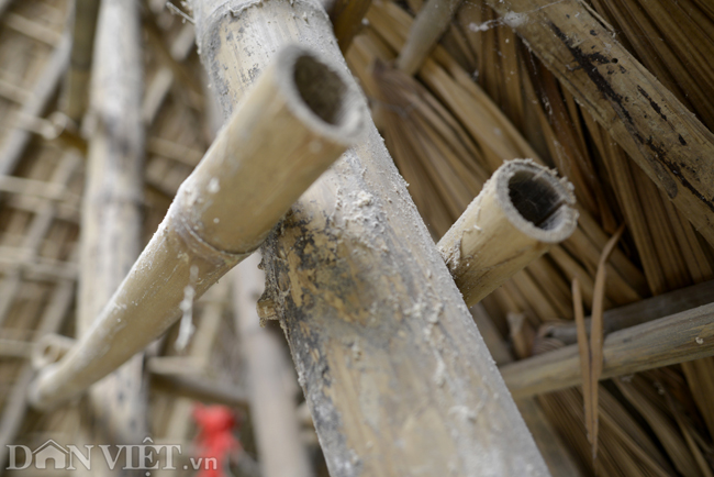 Chiêm ngưỡng nhà làm bằng tre nhận giải thưởng kiến trúc của Mỹ