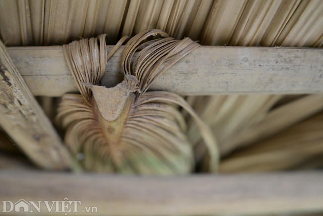 Chiêm ngưỡng nhà làm bằng tre nhận giải thưởng kiến trúc của Mỹ