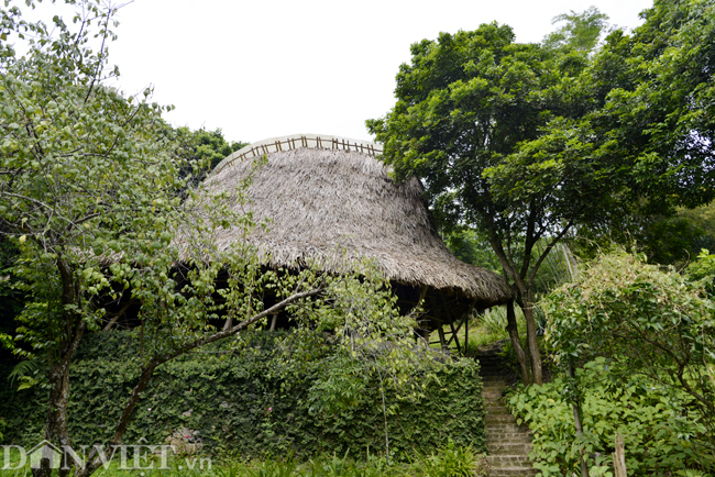 Chiêm ngưỡng nhà làm bằng tre nhận giải thưởng kiến trúc của Mỹ
