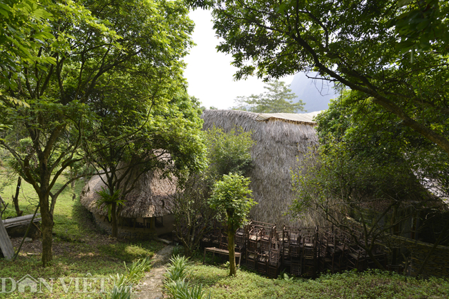 Chiêm ngưỡng nhà làm bằng tre nhận giải thưởng kiến trúc của Mỹ