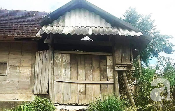 Theo con vào Bình Dương làm mướn, người phụ nữ bị máy kéo sợi bún lóc nát da đầu, cán thủng mắt thương tâm