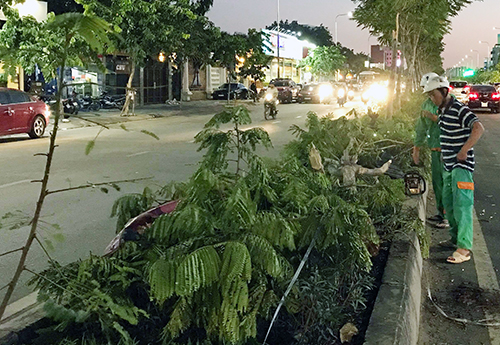 Xe BMW tông 3 ôtô ở Sài Gòn