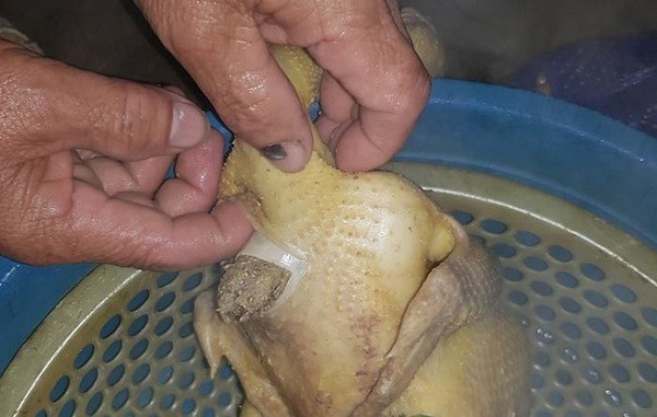 Tuyển tập trọn bộ những pha làm gà thảm họa, anh chị em lưu lại rút kinh nghiệm để ăn Tết ngon lành nhé! Tuyển tập trọn bộ những pha làm gà thảm họa, anh chị em lưu lại rút kinh nghiệm để ăn Tết ngon lành nhé!