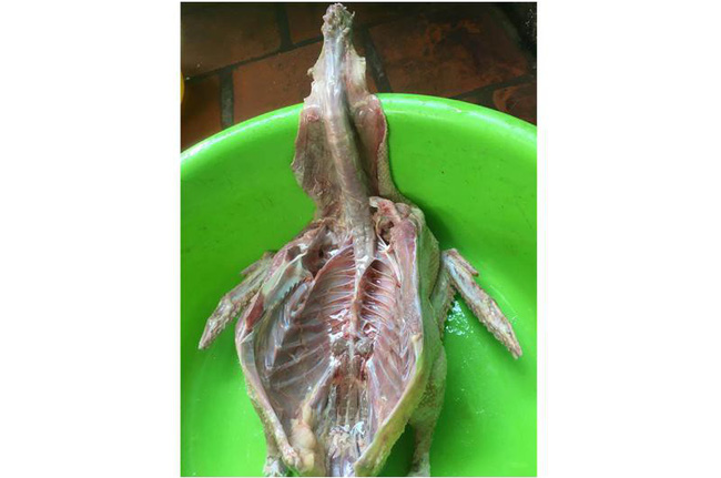 Tuyển tập trọn bộ những pha làm gà thảm họa, anh chị em lưu lại rút kinh nghiệm để ăn Tết ngon lành nhé! Tuyển tập trọn bộ những pha làm gà thảm họa, anh chị em lưu lại rút kinh nghiệm để ăn Tết ngon lành nhé!
