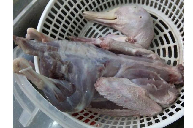 Tuyển tập trọn bộ những pha làm gà thảm họa, anh chị em lưu lại rút kinh nghiệm để ăn Tết ngon lành nhé! Tuyển tập trọn bộ những pha làm gà thảm họa, anh chị em lưu lại rút kinh nghiệm để ăn Tết ngon lành nhé!