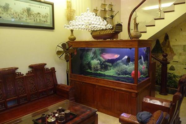 5 mẹo phong thủy ai cũng cần giắt túi để giàu trong nháy mắt