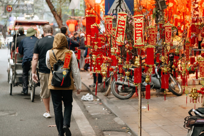 Chùm ảnh: Hoa đào đã nở đỏ rực trên những tuyến phố Hà Nội, Tết đã đến rất gần rồi!