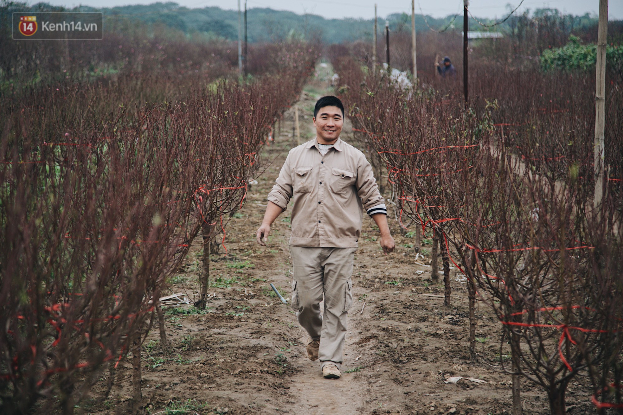 Chùm ảnh: Hoa đào đã nở đỏ rực trên những tuyến phố Hà Nội, Tết đã đến rất gần rồi!