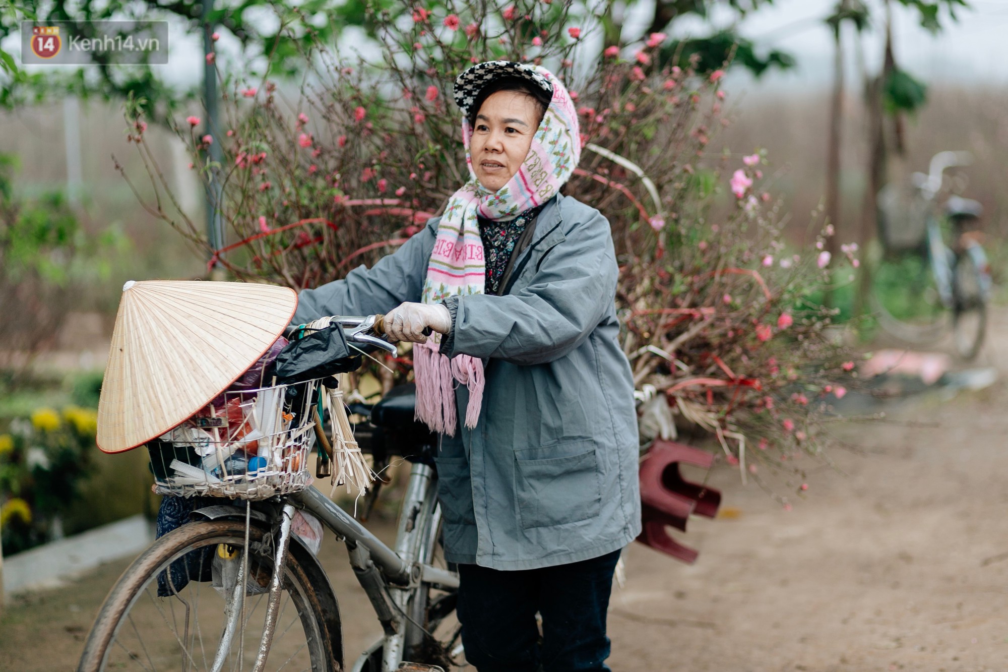 Chùm ảnh: Hoa đào đã nở đỏ rực trên những tuyến phố Hà Nội, Tết đã đến rất gần rồi!