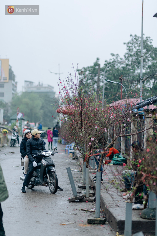 Chùm ảnh: Hoa đào đã nở đỏ rực trên những tuyến phố Hà Nội, Tết đã đến rất gần rồi! Chùm ảnh: Hoa đào đã nở đỏ rực trên những tuyến phố Hà Nội, Tết đã đến rất gần rồi!