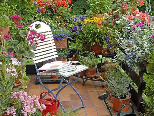 Nhân viên của vợ giăng bẫy tình, người đàn ông quỳ gối xin lỗi