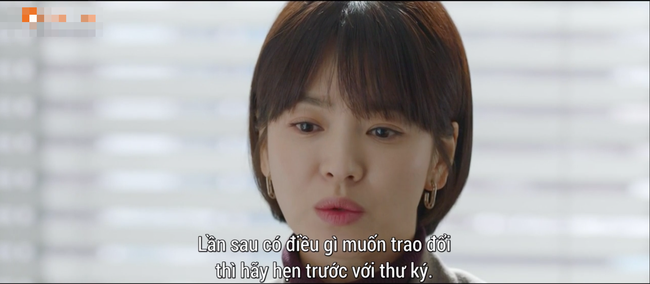 Song Hye Kyo hy sinh sự nghiệp chính trị để đến với phi công trẻ Song Hye Kyo hy sinh sự nghiệp chính trị để đến với phi công trẻ