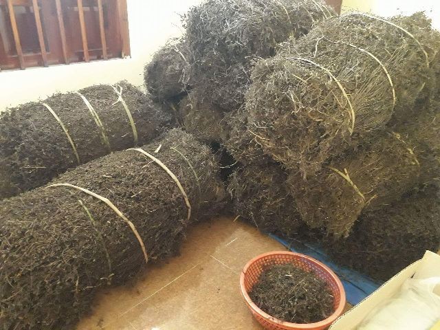 Trung Quốc siết chặt, cấm cửa: Lời cảnh báo gửi tới Việt Nam Trung Quốc siết chặt, cấm cửa: Lời cảnh báo gửi tới Việt Nam