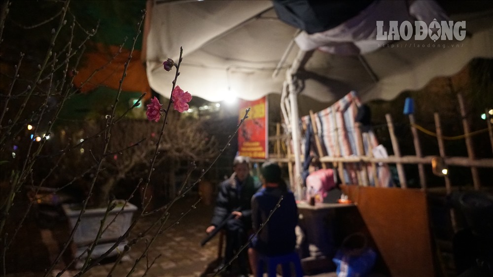 Cận Tết, lao động chong đèn trên phố trông đào đêm