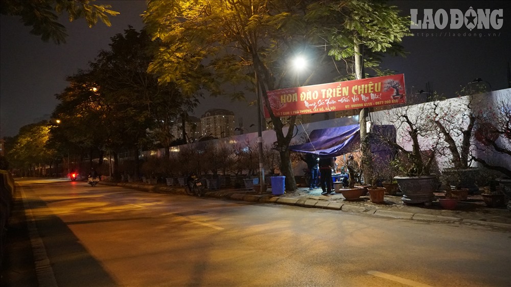 Cận Tết, lao động chong đèn trên phố trông đào đêm