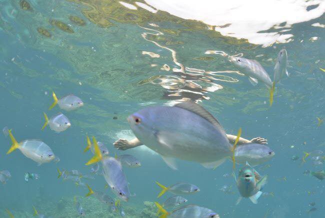 Thà thiếu ảnh chứ đừng làm liều, các chị em phải cẩn trọng với tay nghề của người yêu vì lý do này...