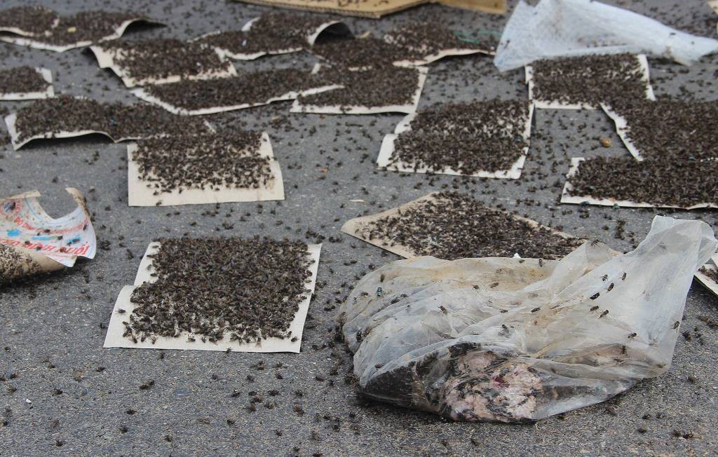 Cuộc sống cạnh bãi rác lớn nhất Hà Nội: Trong xóm có đám cưới chỉ đến uống chén rượu, không dám ăn