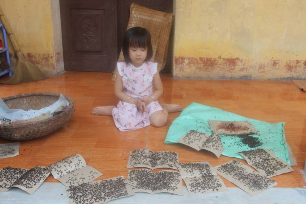 Cuộc sống cạnh bãi rác lớn nhất Hà Nội: Trong xóm có đám cưới chỉ đến uống chén rượu, không dám ăn