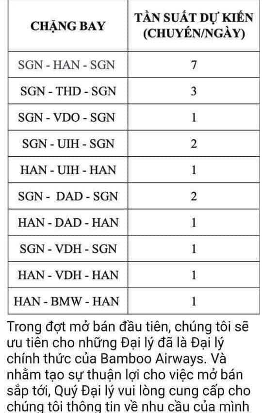 Bamboo Airways liệu có tập trung bay tỉnh, bỏ qua trục bay vàng?