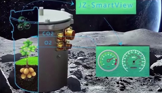 Hạt bông Trung Quốc trồng trên mặt trăng nảy mầm