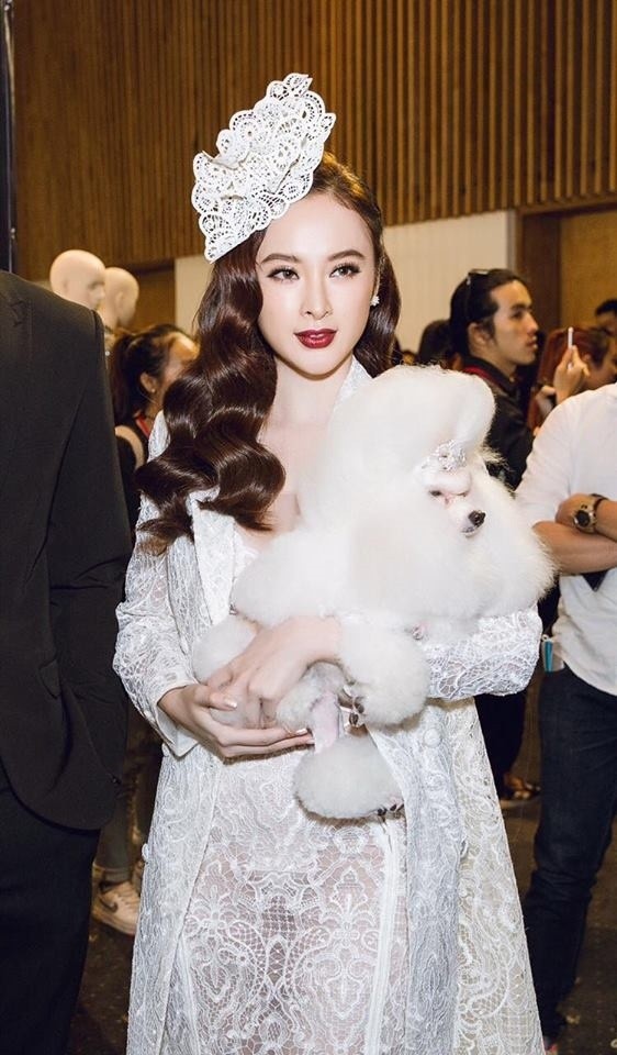 Những lần sao Việt làm lố trên thảm đỏ sự kiện: Người không mời cũng tới, kẻ diện đồ gây tranh cãi để nổi bật