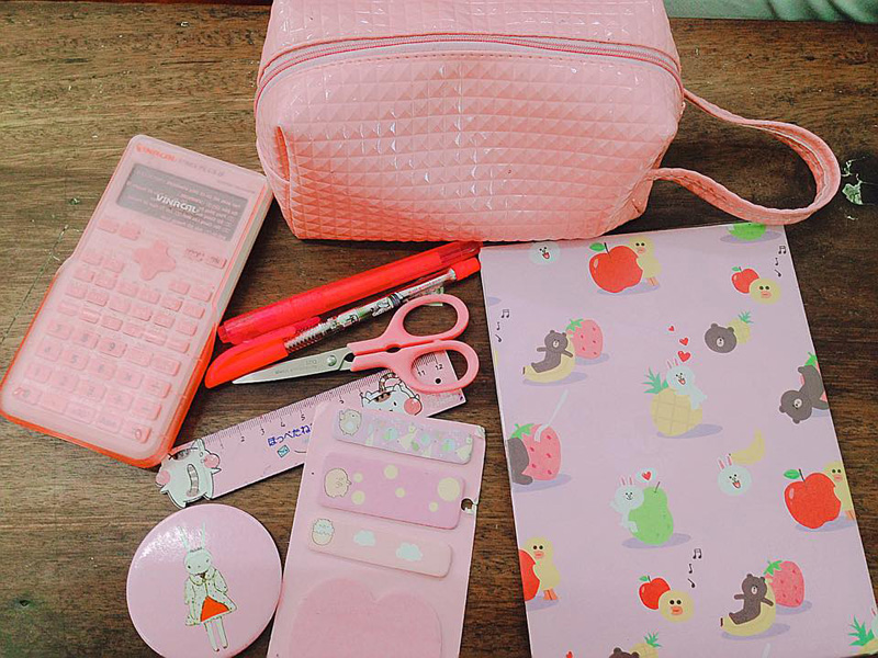 Bộ đồ dùng học tập của những con người cuồng màu sắc ton-sur-ton khiến dân tình mê mẩn