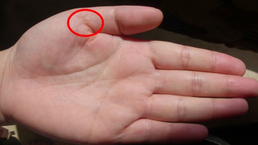 Phụ nữ có 6 dấu hiệu này xuất hiện trên bàn tay chắc chắn trời định vượng vận chồng con, số mệnh được làm quý phu nhân