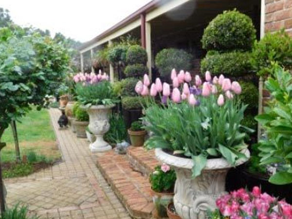 Thưởng tết 10 triệu, chồng trẻ đề nghị điều khó tin