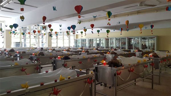 Gia đình 3 người ở Đồng Tháp cùng hiến xác sau khi qua đời