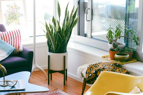 8 quan điểm sai lầm nghiêm trọng trong phong thủy ai cũng có thể mắc phải