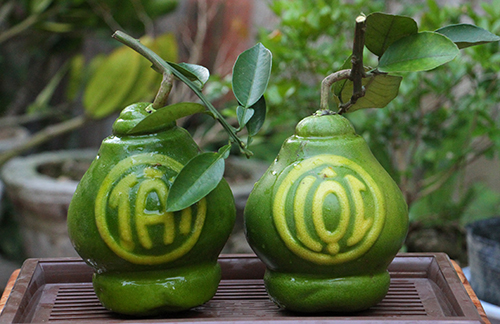 Vườn bưởi khắc chữ lộc, tài giá hàng tỷ đồng