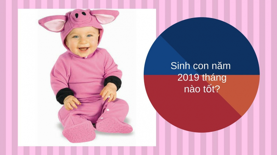 Sinh con năm Kỷ Hợi 2019 là bắt được HEO VÀNG, 60 năm mới có 1 lần: Lời đồn hay SỰ THẬT?