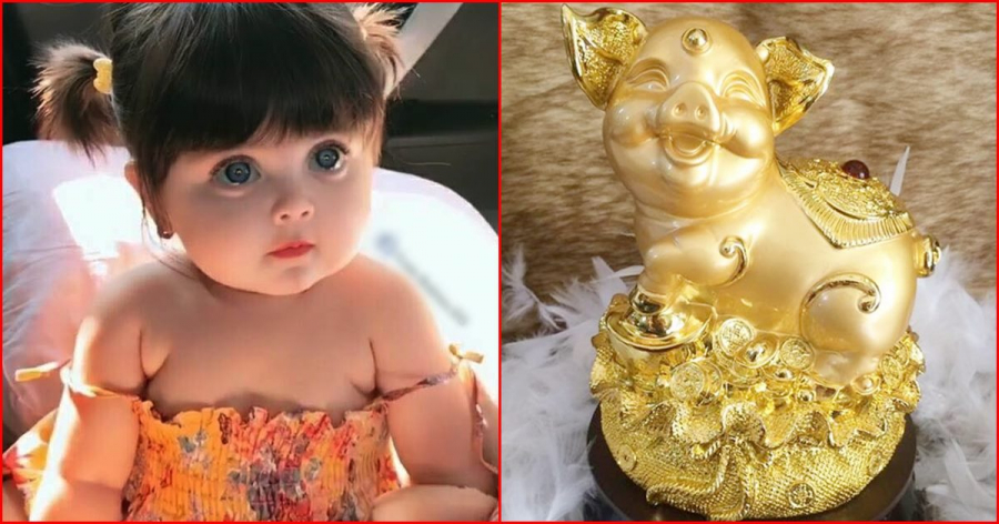 Sinh con năm Kỷ Hợi 2019 là bắt được HEO VÀNG, 60 năm mới có 1 lần: Lời đồn hay SỰ THẬT?