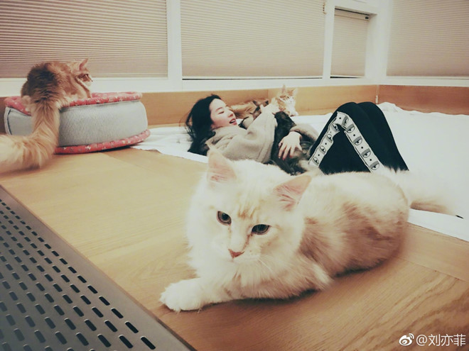 Lưu Diệc Phi xinh đẹp hơn và sống kín tiếng ở tuổi 32