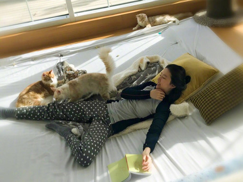 Lưu Diệc Phi xinh đẹp hơn và sống kín tiếng ở tuổi 32