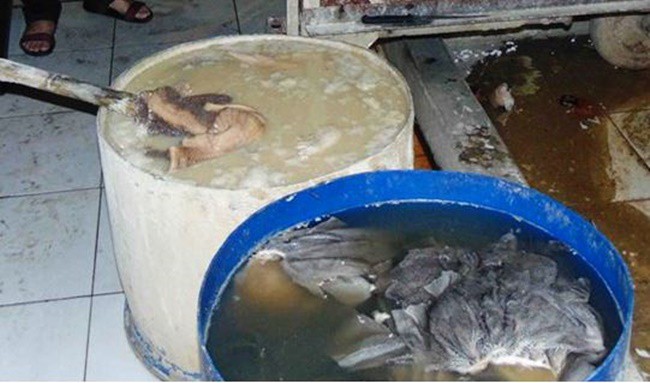 Kinh hãi nội tạng bò bốc mùi được ngập trong nước vôi bột làm trắng để bán phá lấu, lẩu bò ở Sài Gòn