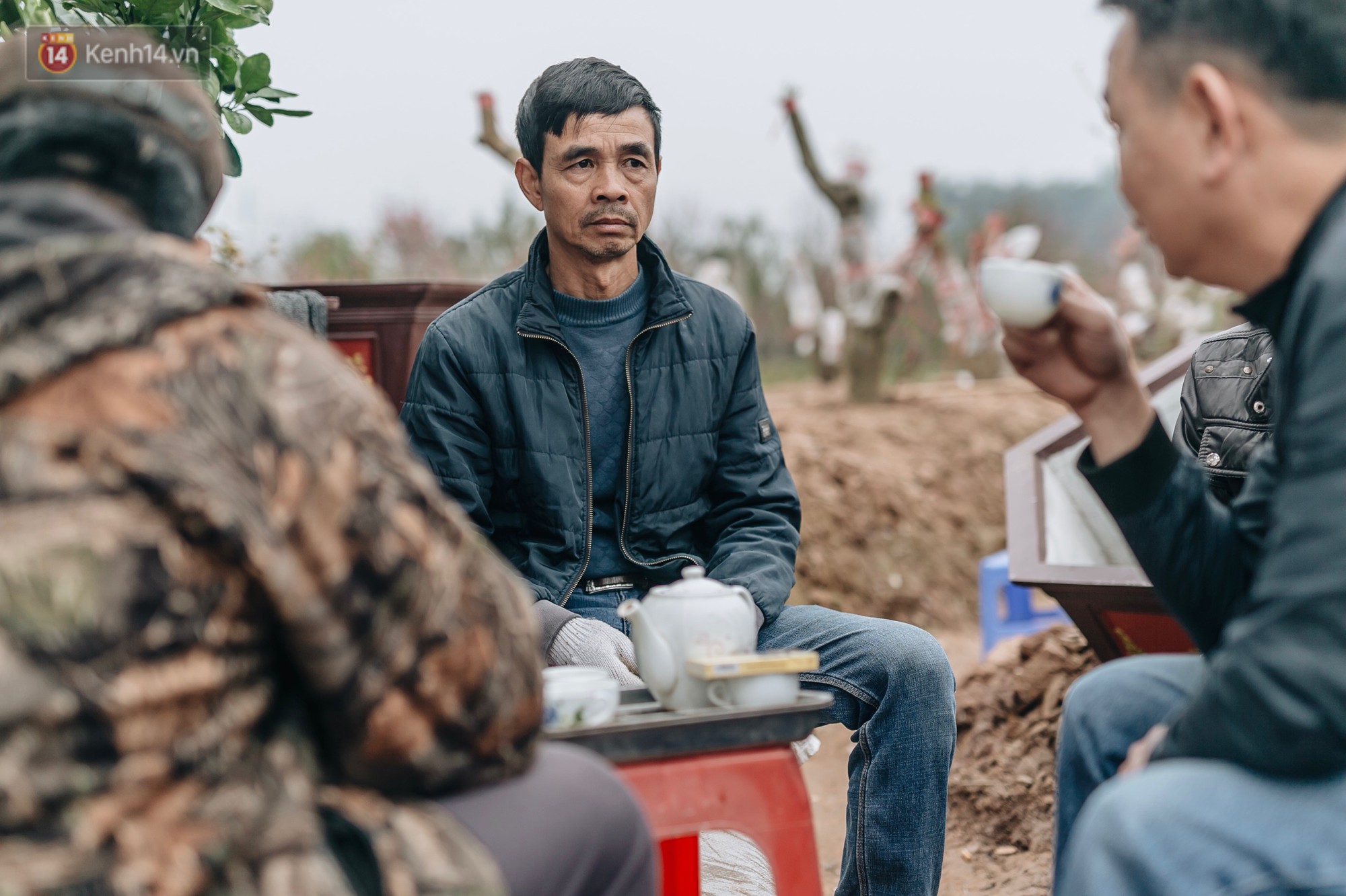 Gần 200 gốc đào của người dân Bắc Ninh bị chặt phá trong đêm: Tết năm nay còn chả có bánh chưng mà ăn