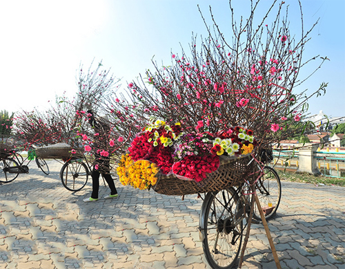 Khách Tây bất ngờ khi lần đầu đón Tết Nguyên đán cùng người Việt