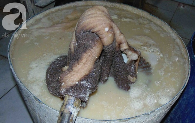 TP.HCM: Gần một tấn heo lở mồm long móng bị tuồn vào chợ đầu mối tiêu thụ Tết