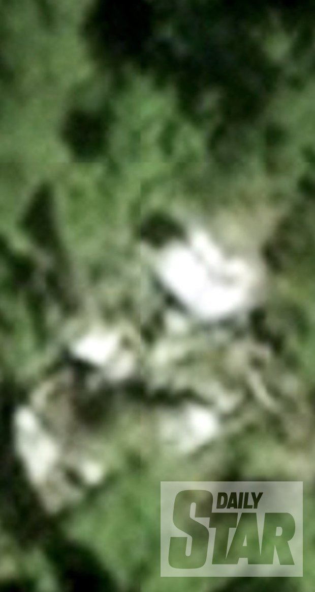 Tin mới về đội tìm kiếm thứ hai tìm MH370 trong rừng Campuchia