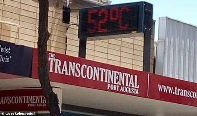 Nhựa đường tan chảy, dơi chết khô trong cái nóng