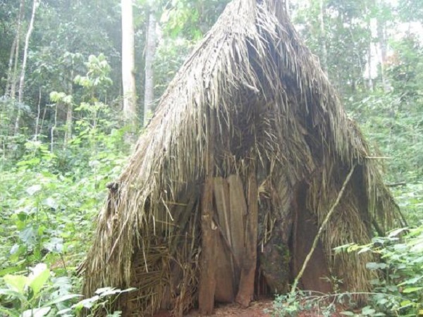 Sức khỏe của ‘Thổ dân cô đơn nhất Thế giới’ đang ngày một xấu đi