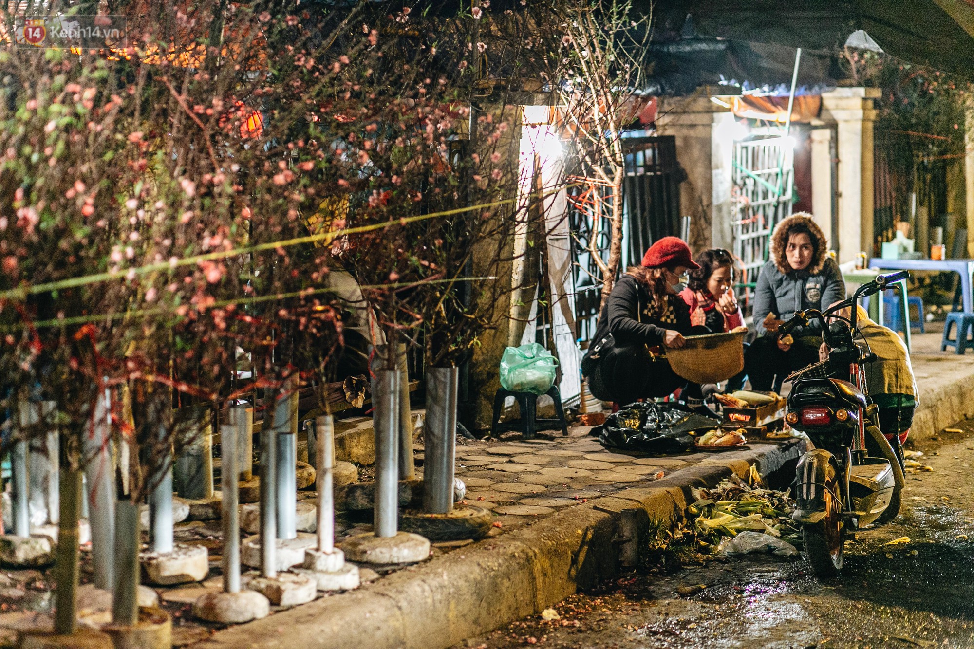 Sợ bị trộm giữa đêm, người dân Hà Nội dựng lều, trùm chăn canh đào quất trên phố