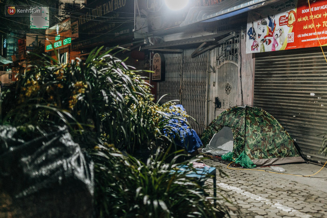Sợ bị trộm giữa đêm, người dân Hà Nội dựng lều, trùm chăn canh đào quất trên phố