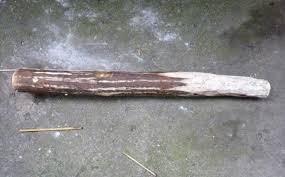 NÓNG: Tạm giữ hình sự nghi phạm giết chồng, phi tang xác