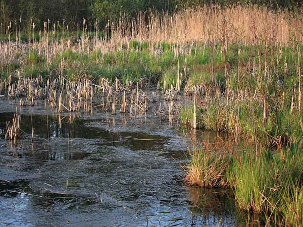 Lộ nguyên nhân ác phụ xuống tay sát hại chồng, phi tang xác rồi báo mất tích