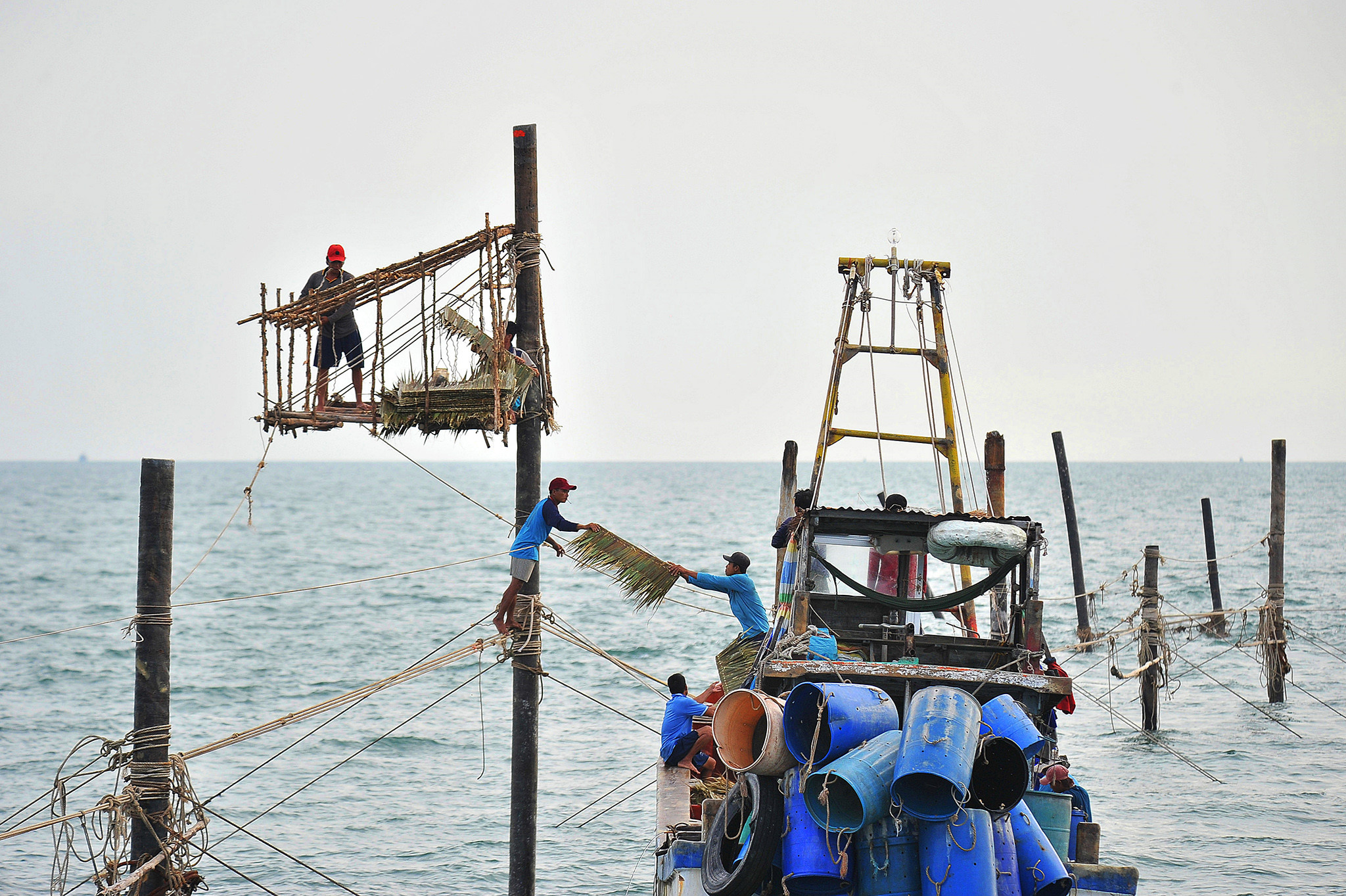 Người nhện ở vùng biển cực nam Tổ quốc