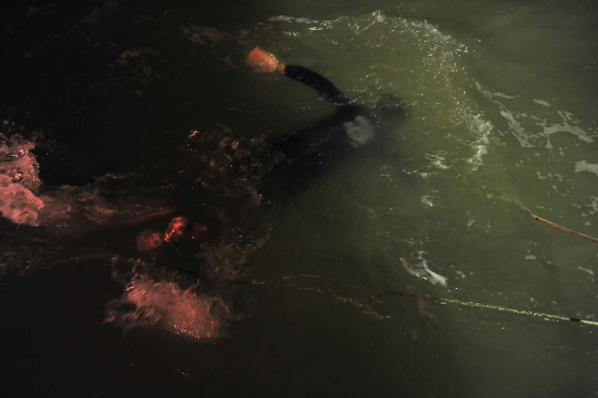 Người nhện ở vùng biển cực nam Tổ quốc