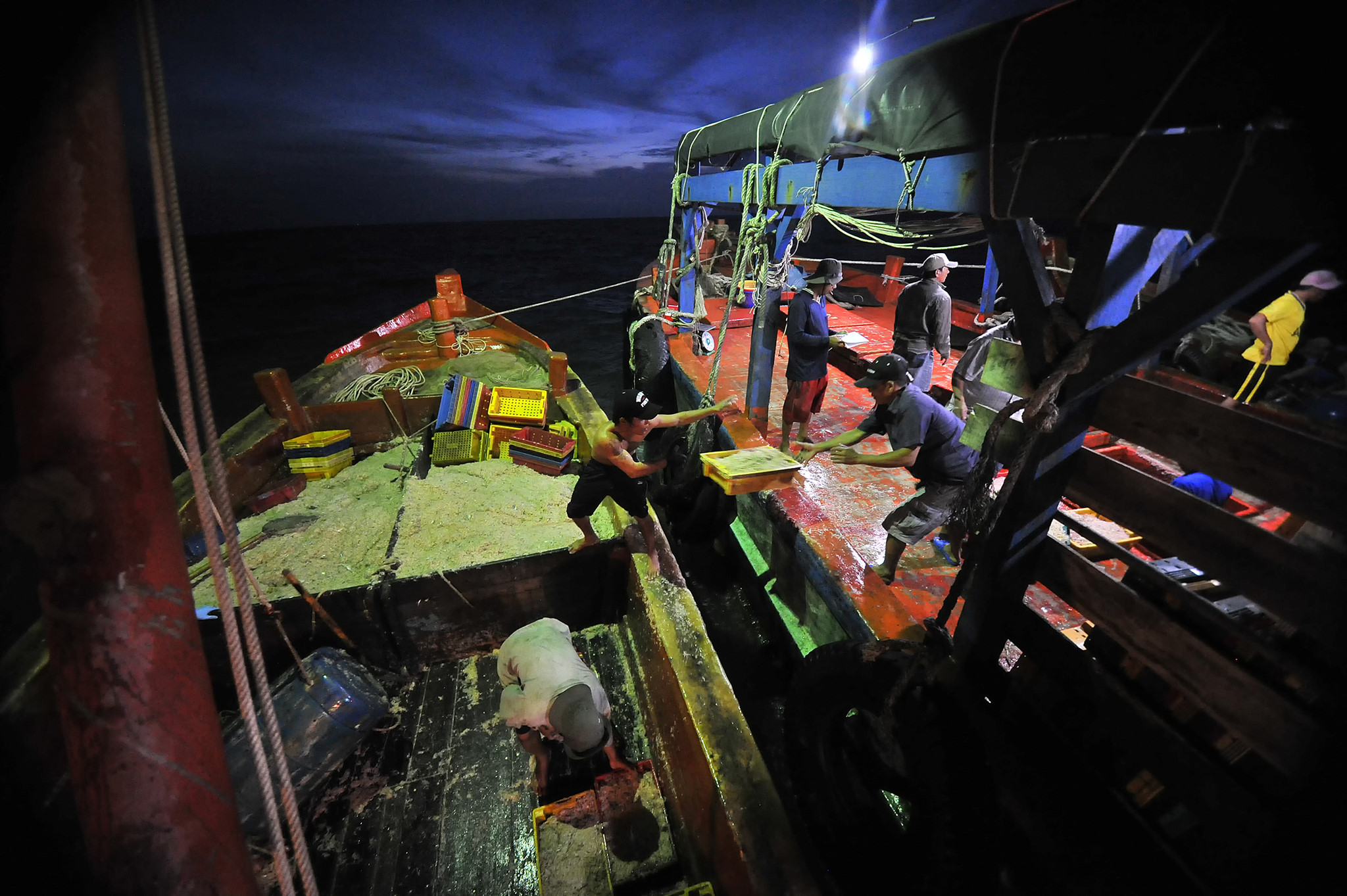 Người nhện ở vùng biển cực nam Tổ quốc