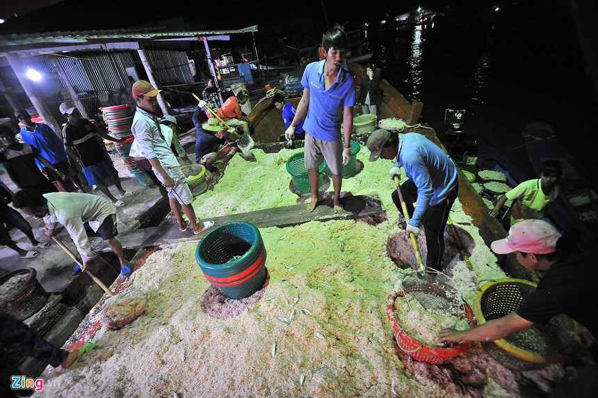 Người nhện ở vùng biển cực nam Tổ quốc